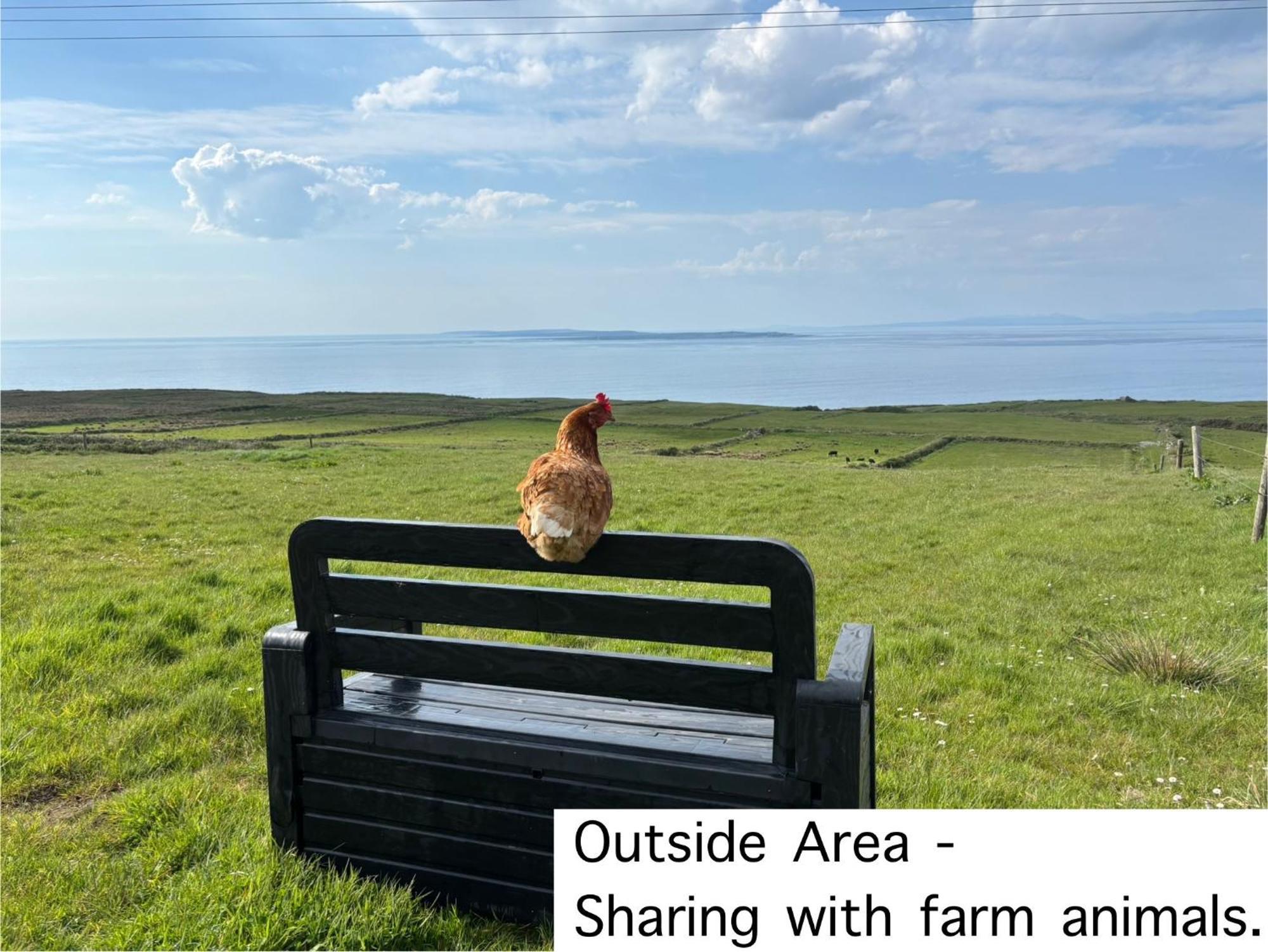 Bed & Breakfast Ocean View Guestrooms Doolin